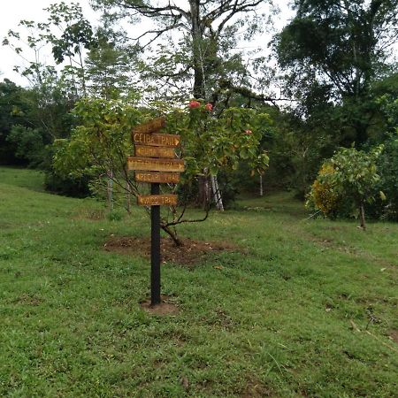Puerto Jiménez Finca Sueno De Osa מראה חיצוני תמונה