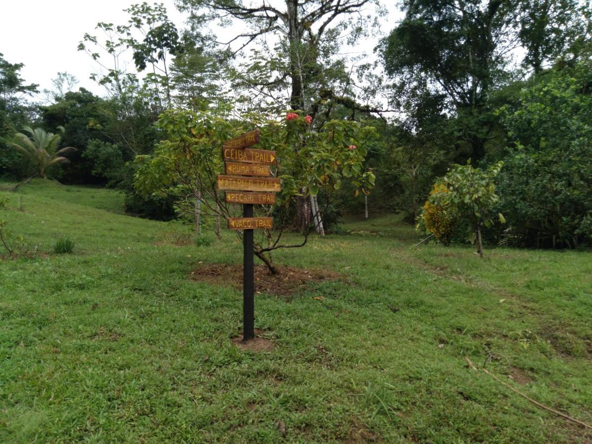Puerto Jiménez Finca Sueno De Osa מראה חיצוני תמונה