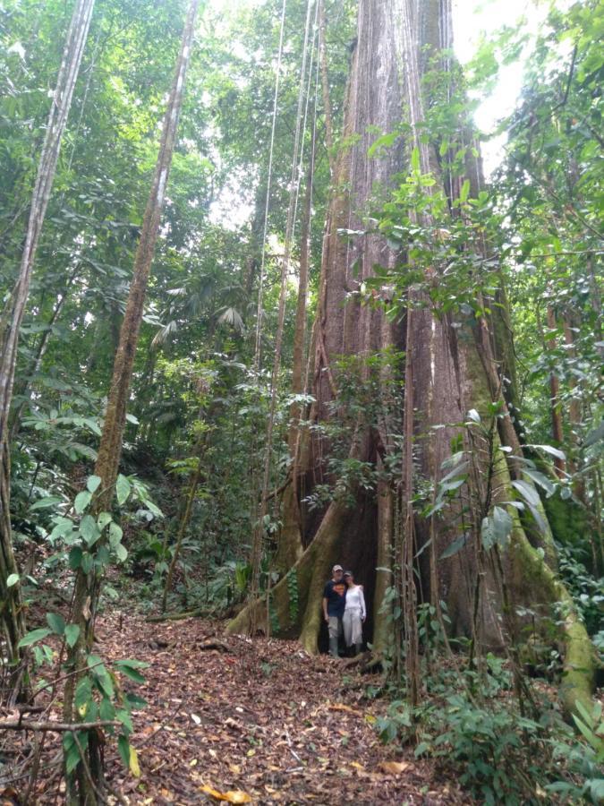 Puerto Jiménez Finca Sueno De Osa מראה חיצוני תמונה