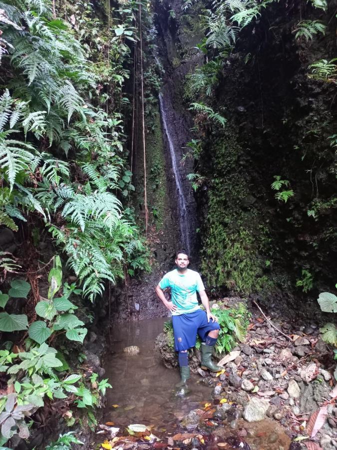 Puerto Jiménez Finca Sueno De Osa מראה חיצוני תמונה