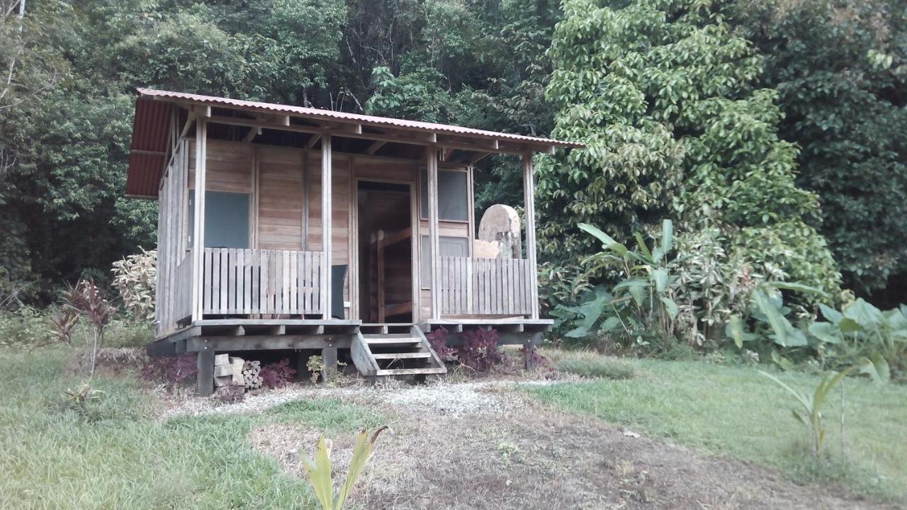 Puerto Jiménez Finca Sueno De Osa מראה חיצוני תמונה